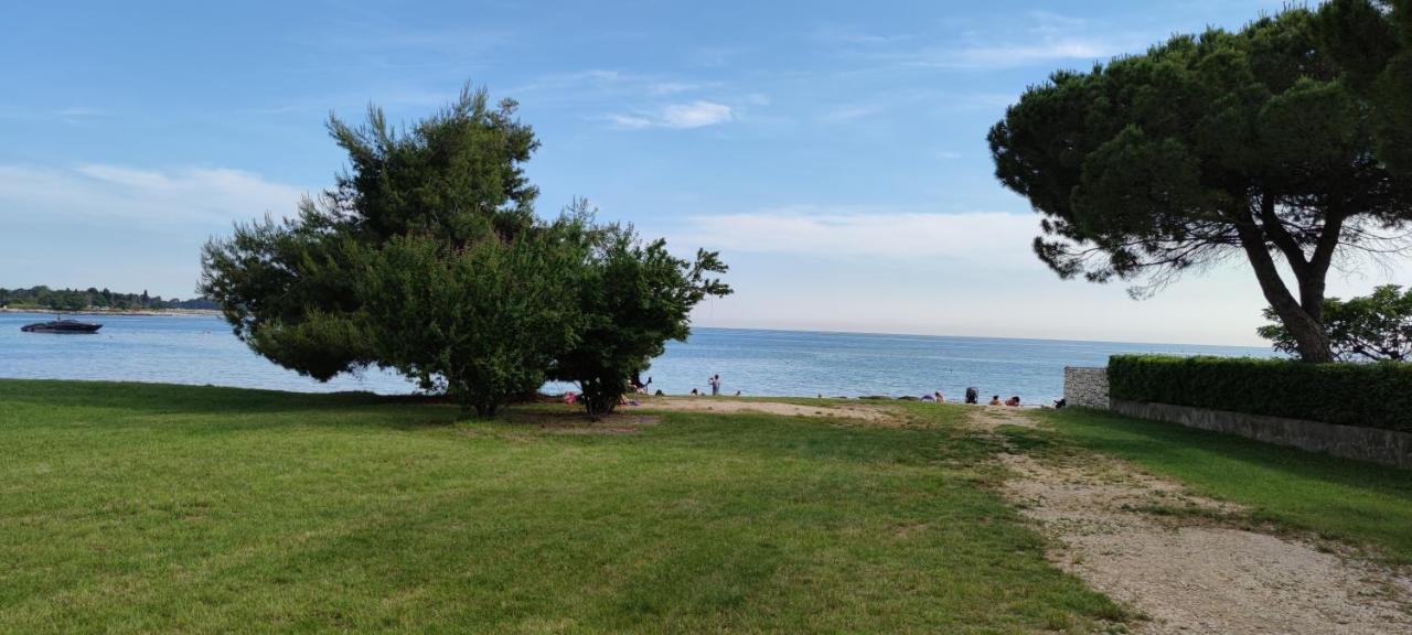 App Oleander Διαμέρισμα Ουμάγκ Εξωτερικό φωτογραφία